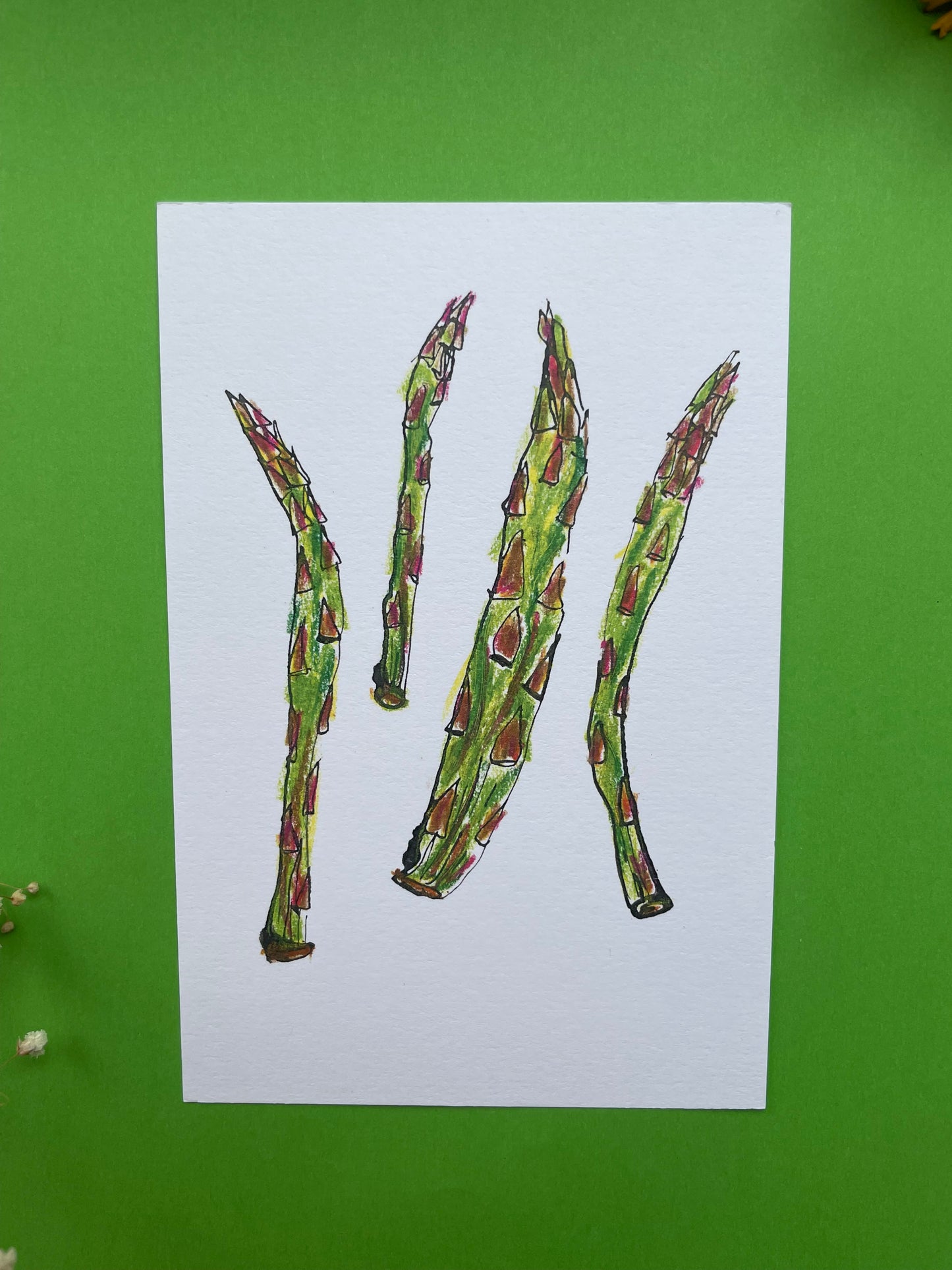 Postcard Asparagus