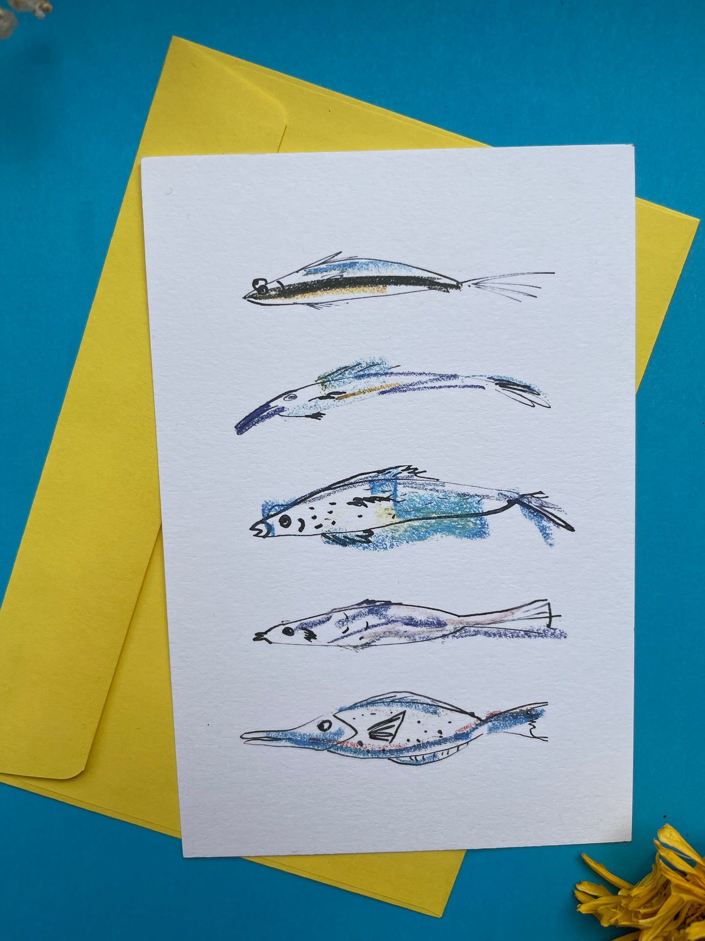 Postcard of Fish
