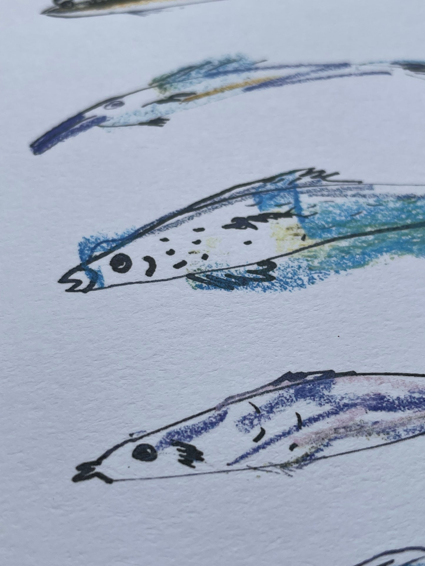 Postcard of Fish