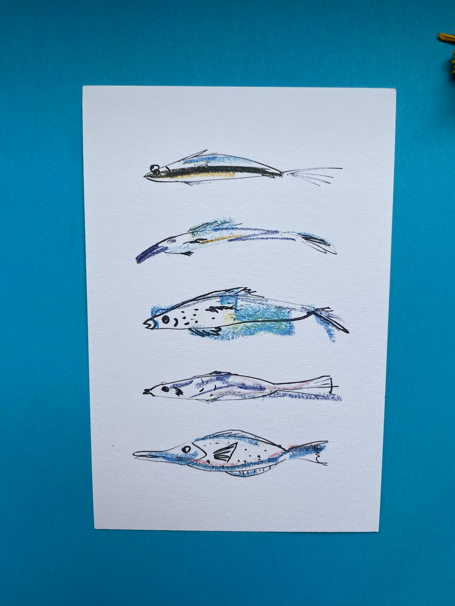 Postcard of Fish