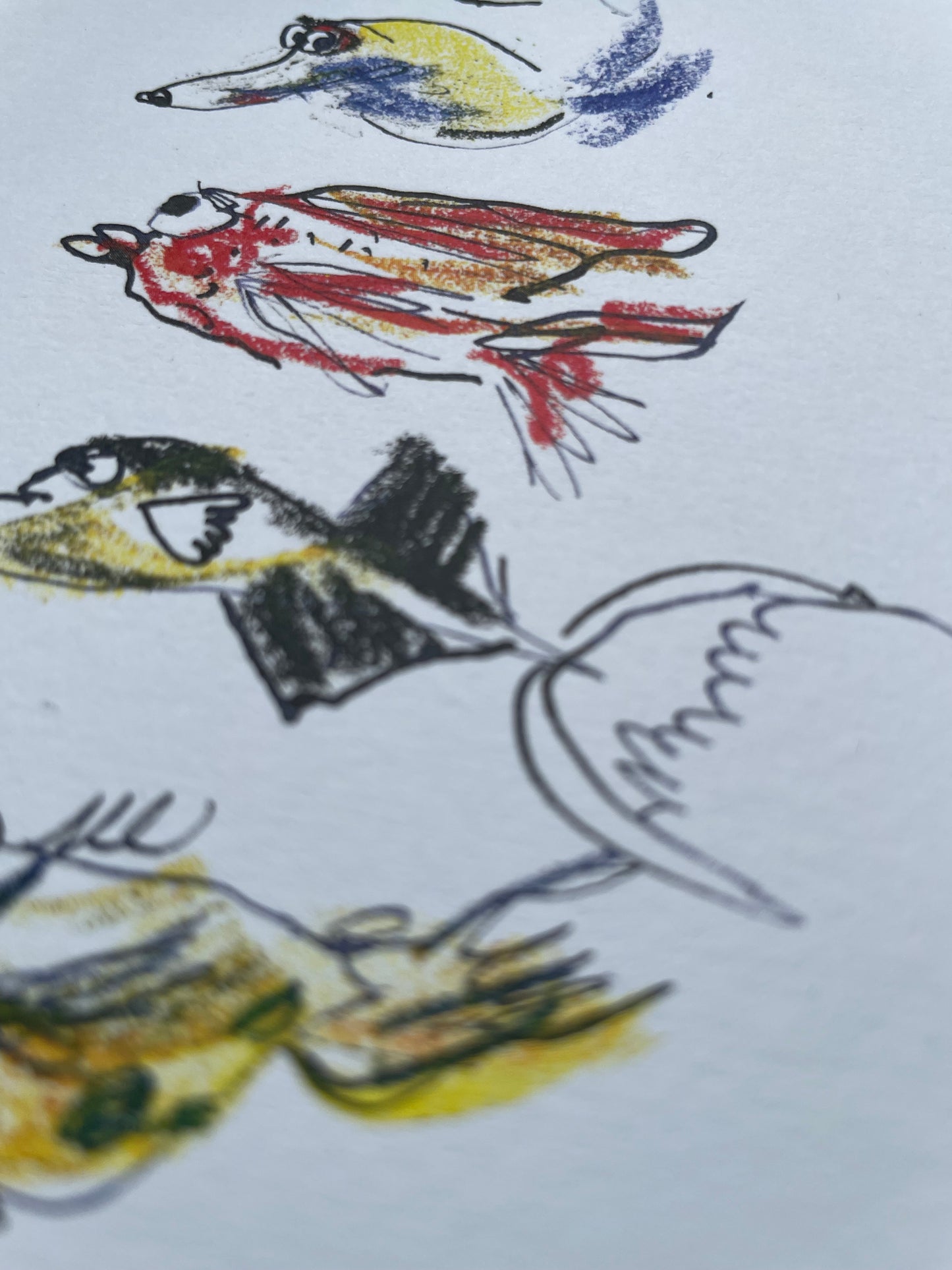 Postcard Quirky fish collective